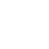 Money Icon